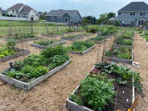 Community Gardens