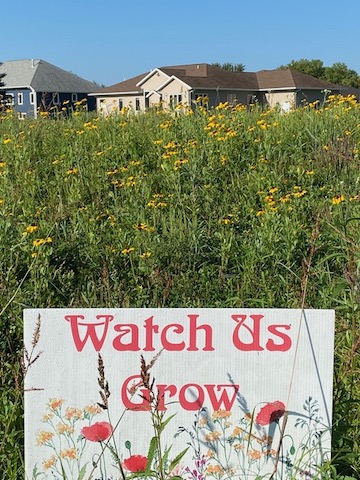 Letting the Prairie Grow 3