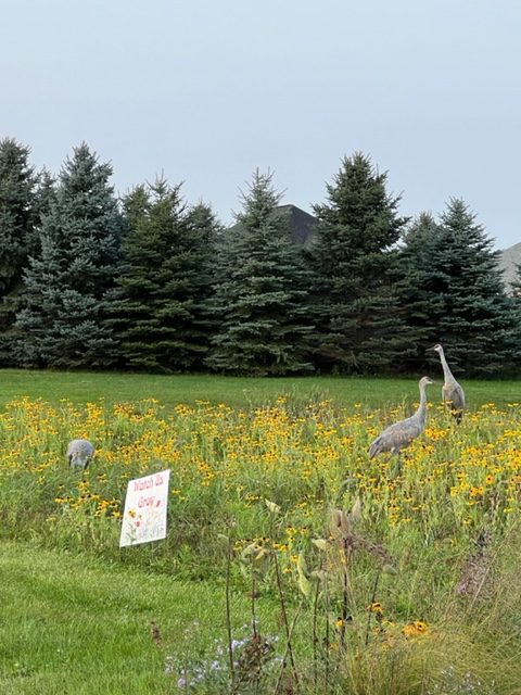 Prairie 4