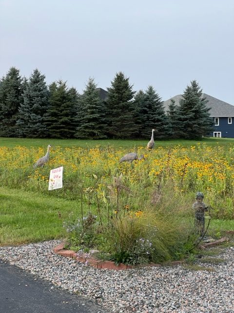 Prairie 5