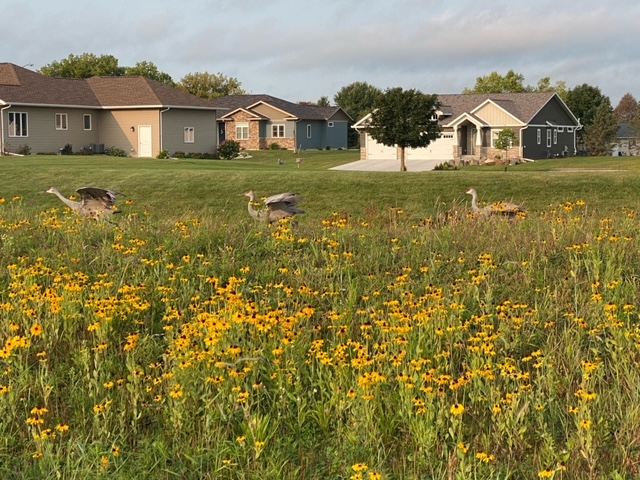 Prairie 7