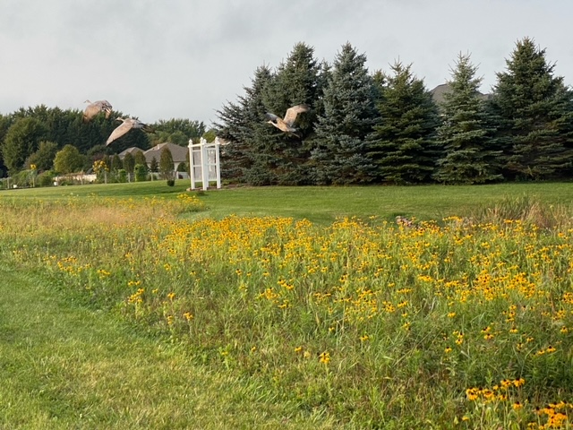 Prairie 9