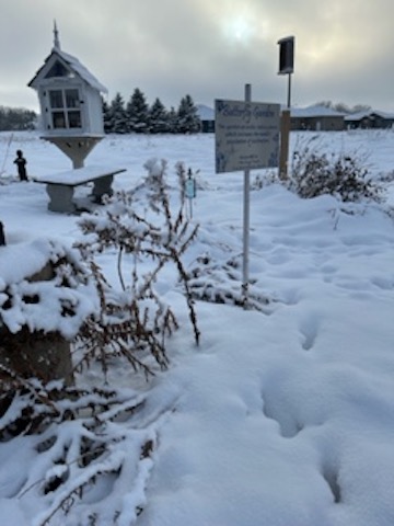 Winter Interest 2