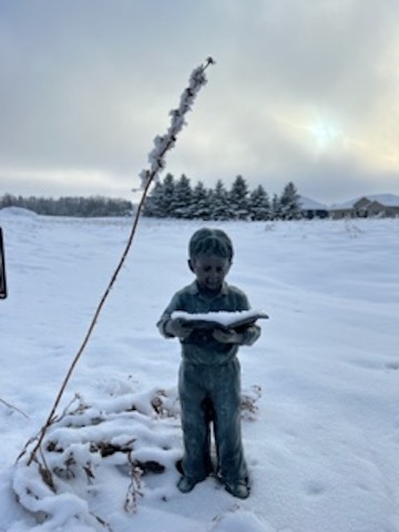 Winter Interest 4