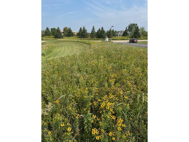 Prairie 2