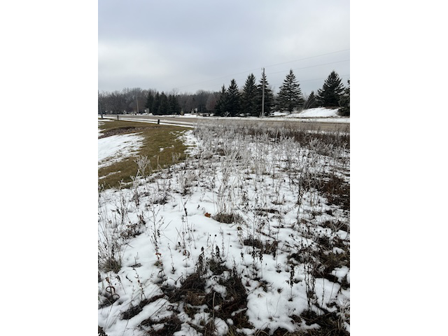 Winter Prairie 5