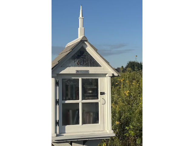 Little Free Library 6